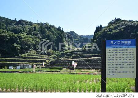 鬼ノ口の棚田 鬼ノ口の棚田 119284375
