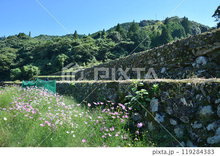 鬼ノ口の棚田 119284383