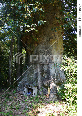 淡島神社  119284607