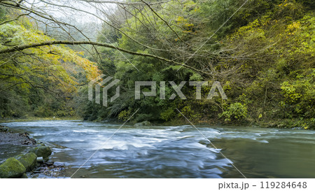 千葉県 養老渓谷・養老川 「粟又の滝自然遊歩道」/ Yoro River, Japan 千葉県 養老渓谷・養老川 「粟又の滝自然遊歩道」/ Yoro River, Japan 119284648
