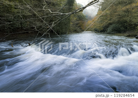 千葉県 養老渓谷・養老川 / Yoro River, Isumi, Japan 119284654