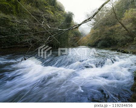 千葉県 養老渓谷・養老川 / Yoro River, Isumi, Japan 119284656