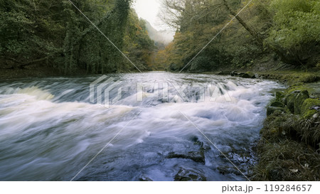 千葉県 養老渓谷・養老川 / Yoro River, Isumi, Japan 119284657