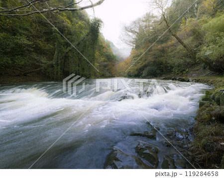 千葉県 養老渓谷・養老川 / Yoro River, Isumi, Japan 119284658