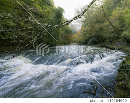 千葉県 養老渓谷・養老川 / Yoro River, Isumi, Japan 千葉県 養老渓谷・養老川 / Yoro River, Isumi, Japan 119284660