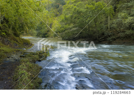 千葉県 養老渓谷・養老川 / Yoro River, Isumi, Japan 119284663