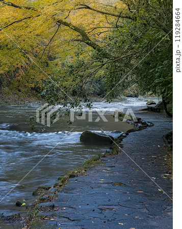 千葉県 養老渓谷・養老川 「粟又の滝自然遊歩道」/ Yoro River, Isumi, Japan 千葉県 養老渓谷・養老川 「粟又の滝自然遊歩道」/ Yoro River, Isumi, Japan 119284664