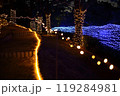 公園のイルミネーション 119284981