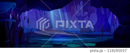 View from inside cave on night forest with swamp 119285037