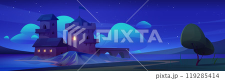 Royal medieval castle on island at night. 119285414