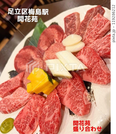 焼肉盛り 焼肉盛り 119286212