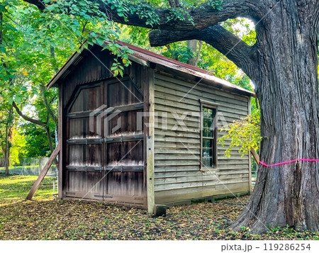 北海道大学農学部第二農場 秤量所 2024年9月 北海道大学農学部第二農場 秤量所 2024年9月 119286254