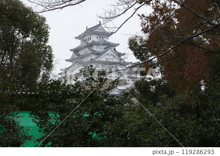 初冬の曇天の中でも白さ際立つ姫路城 119286293