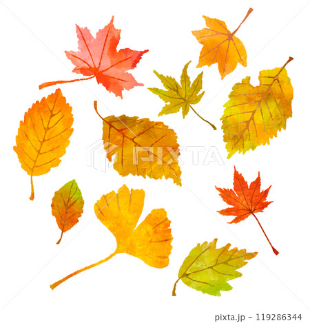 紅葉した落ち葉のセット 秋 葉 イラスト 紅葉した落ち葉のセット 秋 葉 イラスト 119286344