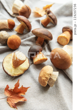 A variety of mushrooms arranged on a soft gray fabric with autumn leaves 119287236