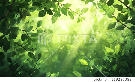 背景素材:夕日に照らされた新緑の葉 背景素材:夕日に照らされた新緑の葉 119287385
