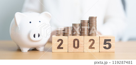 Happy New Year 2025 with piggy bank. Resolution, Goals, Plan, Action, Money Saving, Retirement fund, Pension, Investment and Financial concepts 119287481