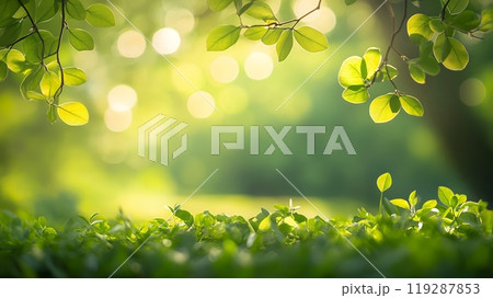 背景素材:日差しに照らされた緑豊かな草原と葉の背景 背景素材:日差しに照らされた緑豊かな草原と葉の背景 119287853