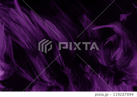 Beautiful dark purple bird feathers pattern texture background. 119287894