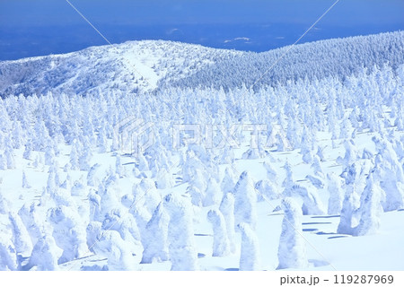 晴天下の蔵王樹氷群 119287969