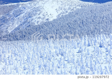晴天下の蔵王樹氷群 119287972