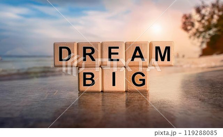 DREAMBIGの文字ブロック 119288085