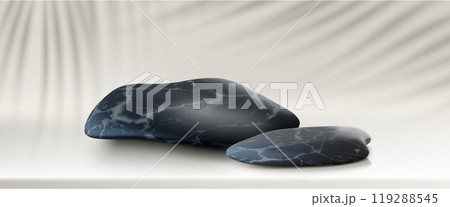 3d stone nature cosmetic product podium background 119288545