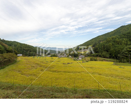 秋の明日香村細川の棚田 秋の明日香村細川の棚田 119288824