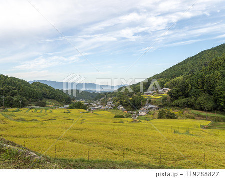 秋の明日香村細川の棚田 秋の明日香村細川の棚田 119288827