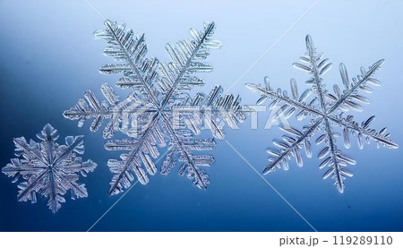 水色背景の白い雪の結晶 119289110