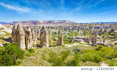 Amazing rocks in Cappadocia near Goreme eroded into spectacular pillars and minaret-like forms, Turkey 119289294