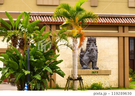 南国沖縄が勢ぞろい 119289630