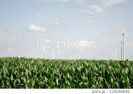 Wind turbines on an agricultural field. Sustainable energy Wind turbines on an agricultural field. Sustainable energy 119289698