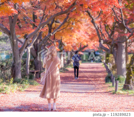 海外からの若い女性の観光客が東京都内で紅葉の名所を散策 119289823