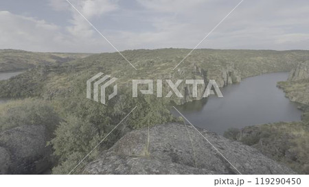 Panoramic view of Duero River canyon with rocky cliffs and forests 119290450