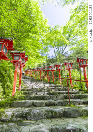 新緑の貴船神社 朱色の灯籠と石段 新緑の貴船神社 朱色の灯籠と石段 119291183