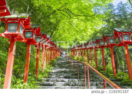 新緑の貴船神社 朱色の灯籠と石段 新緑の貴船神社 朱色の灯籠と石段 119291187