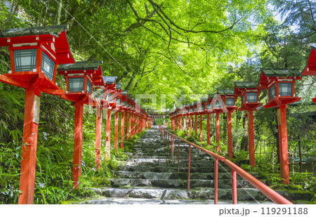 新緑の貴船神社　朱色の灯籠と石段 119291188
