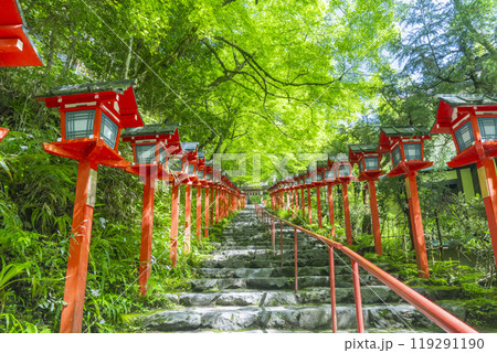 新緑の貴船神社 朱色の灯籠と石段 新緑の貴船神社 朱色の灯籠と石段 119291190