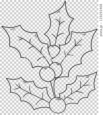 Christmas holly tree line drawing coloring page Christmas holly tree line drawing coloring page 119291408