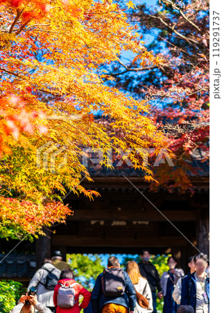 【神奈川県】鮮やかな色彩が綺麗な円覚寺の紅葉 119291737
