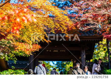 【神奈川県】鮮やかな色彩が綺麗な円覚寺の紅葉 【神奈川県】鮮やかな色彩が綺麗な円覚寺の紅葉 119291738