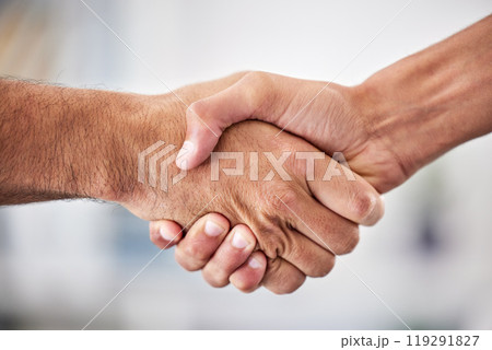 Business, thank you or people handshake in office for welcome, hello or job interview, success and hiring deal. Support, offer or b2b men shaking hands for onboarding intro, growth or congratulations 119291827