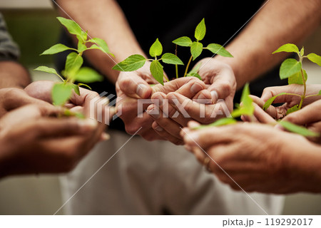 Hands, plants and grow with people or team, business and eco friendly for earth day and collaboration for growth. Investment, environment and community service, nurture or agro for sustainability Hands, plants and grow with people or team, business and eco friendly for earth day and collaboration for growth. Investment, environment and community service, nurture or agro for sustainability 119292017