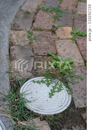 庭の汚水枡 庭の汚水枡 119292158
