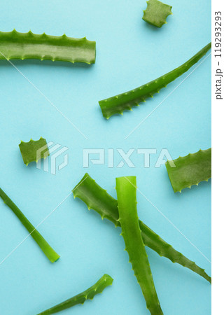 Flat lay composition with fresh aloe vera leaves and space for text on blue background 119293293