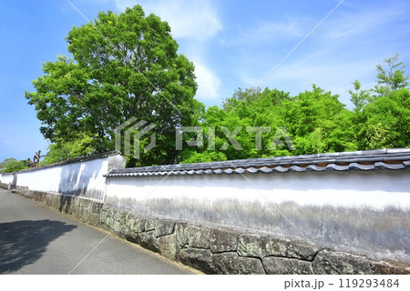 【山口県】晴天の萩の武家屋敷（菊屋横丁） 119293484