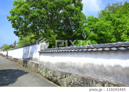 【山口県】晴天の萩の武家屋敷（菊屋横丁） 119293485