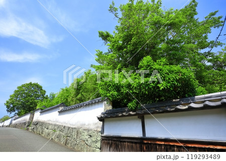 【山口県】晴天の萩の武家屋敷（菊屋横丁） 119293489
