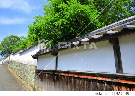【山口県】晴天の萩の武家屋敷（菊屋横丁） 119293490